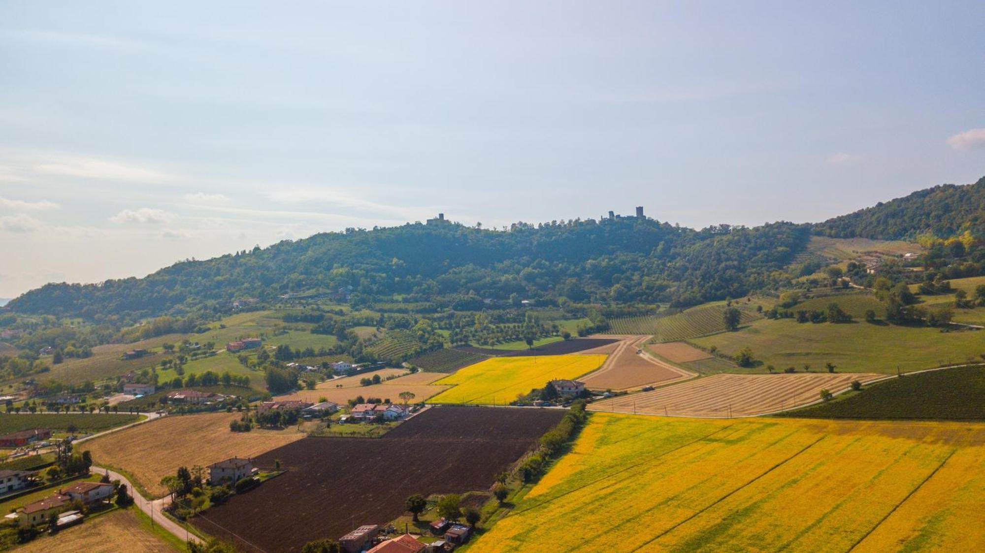 Agriturismo Riva Ratta Montecchio Maggiore Exterior foto